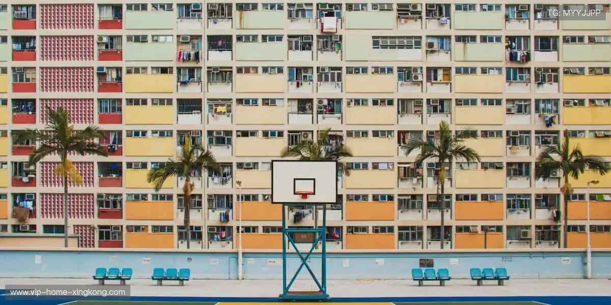 💬 弹幕狂欢,与百万球迷共享胜利喜悦!🎉